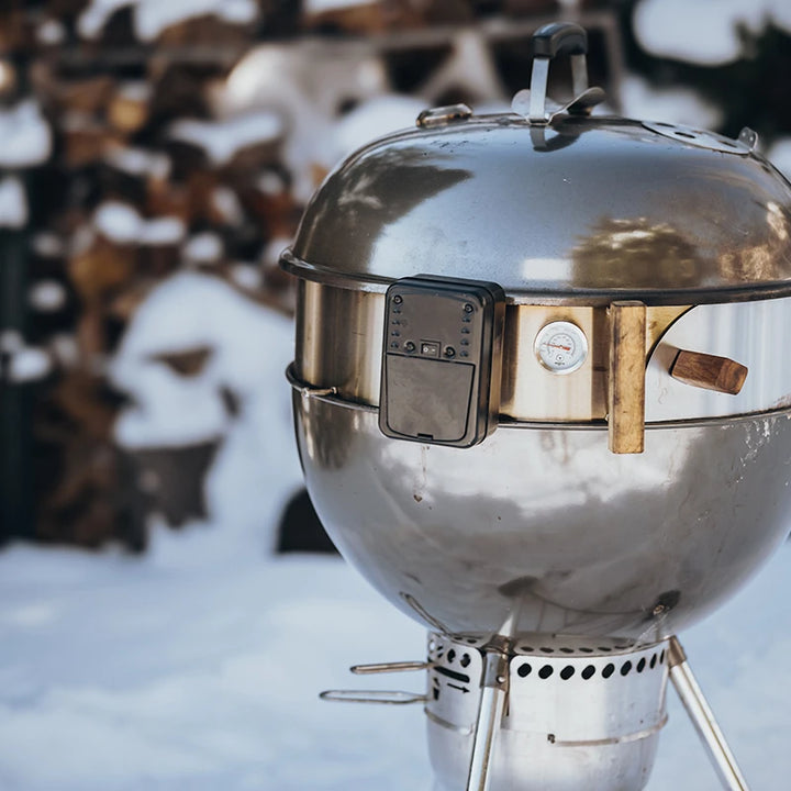 Rotisserie Motor – Batterie oder 230V