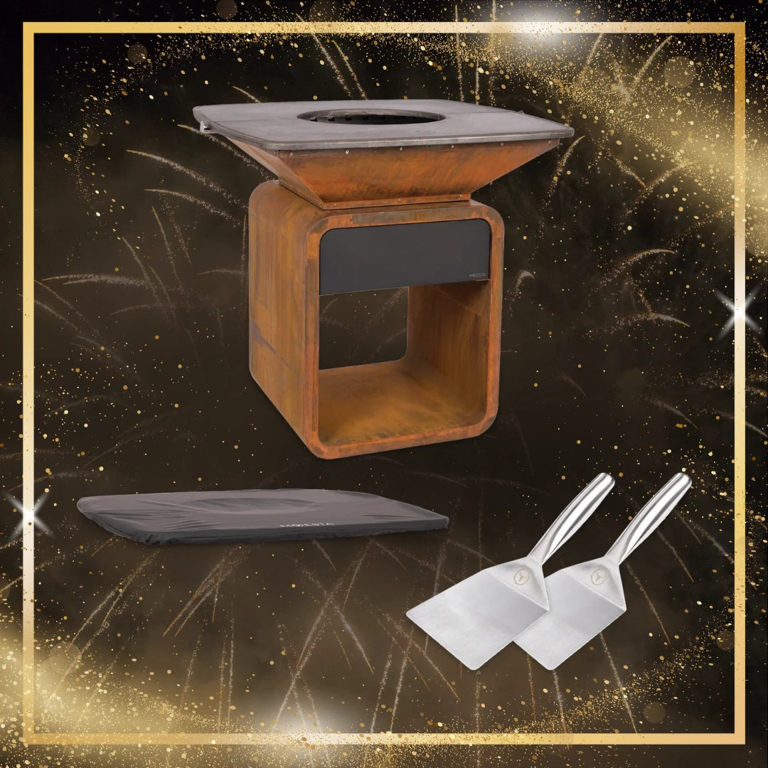 DEAL – MOESTA ONE FirePlace