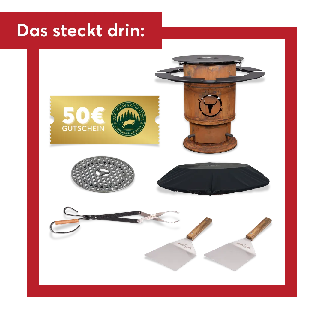 DEAL – Bandit FirePlace